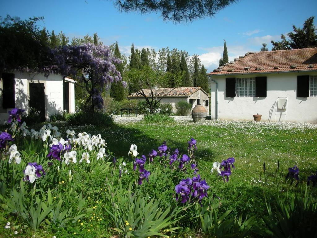 Vignagrande Agriturismo Saturnia Kamer foto